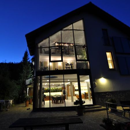 Jasminowe Ogrody Bed & Breakfast Szczyrk Bagian luar foto